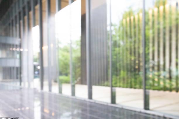 儿童情感智力辅导员证书（Certified Emotional Intelligence Coach for Children）